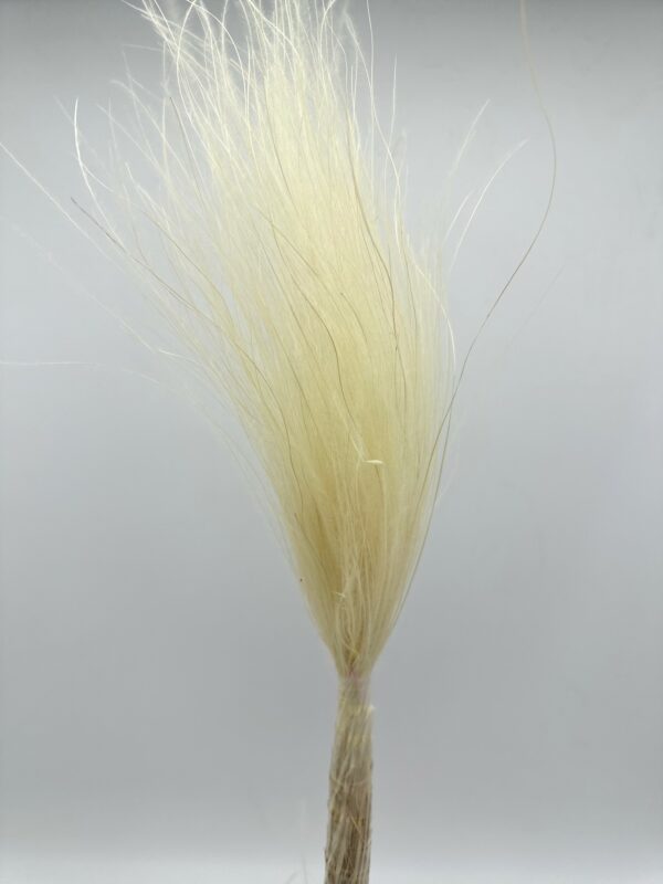 product image 224e52262baa167dc0a85c86dbaf1f17 scaled