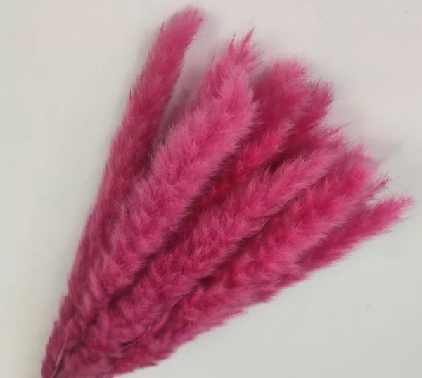 product image 24b5a84ebf0d17119f5c4b08ea8adc1c