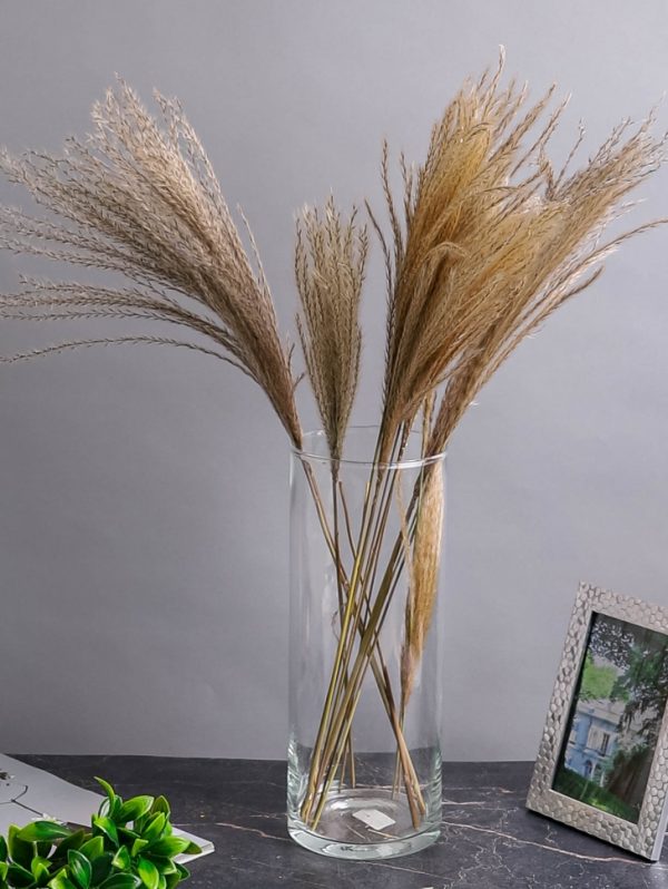 product image 286bed3a0d088ca04c4b15ae1fa43431