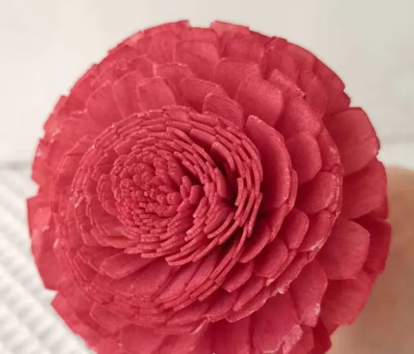 product image 2b1570a4b711467d91d1fe262f39c30f