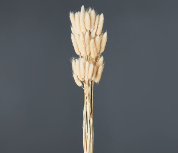 product image 351201f6f589d2f9e734466e367f6758