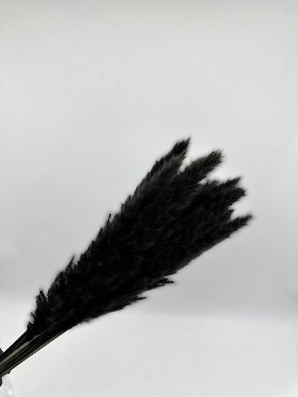 product image 36db7b20299ff72267f8ca12304ca3cc scaled