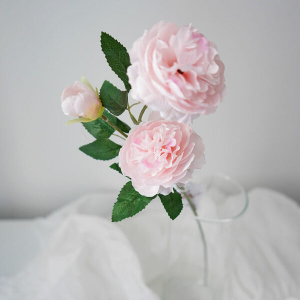 product image 3a9585b9b23d3f10bdf29cf35b7e3ad6