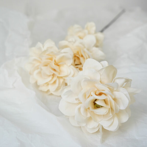 product image 3b8ece6a68d77a2afb47d25faa862be6