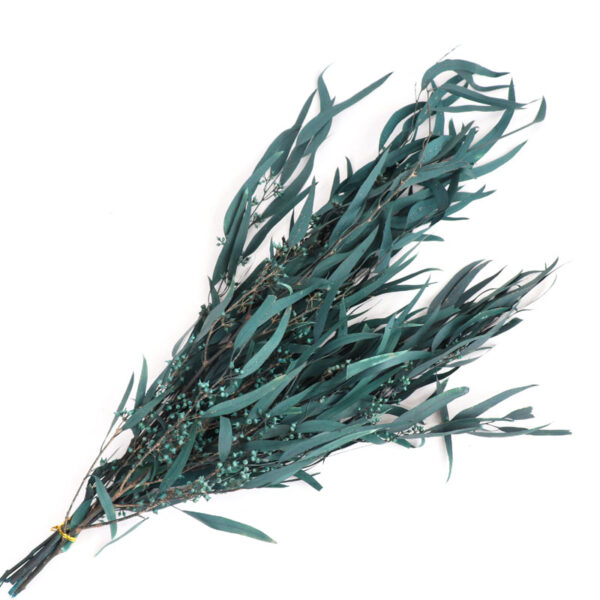 product image 3d849cc965c415115662da303174f815