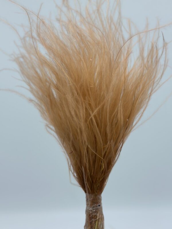 product image 4197968d21b9c2b52891cdb4d01fc2e1 scaled