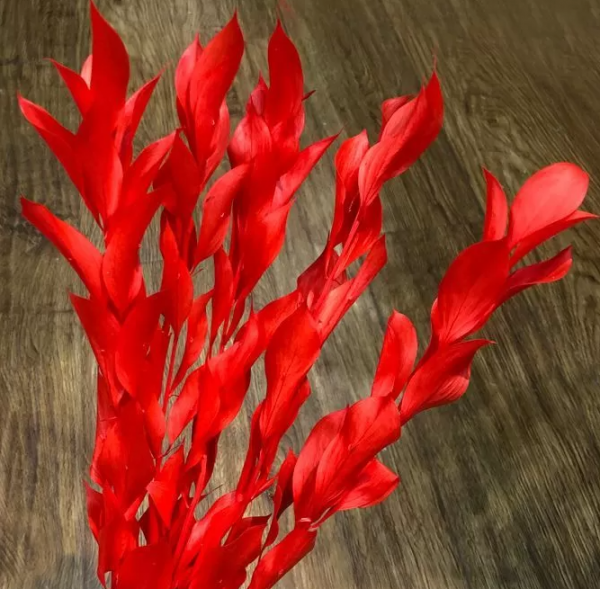 product image 43bee3d6a0314d1019e1759629550ae8