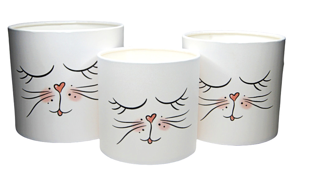 product_image_44741ebe6bfe44cba78ec52c6cd68498 product image 44741ebe6bfe44cba78ec52c6cd68498