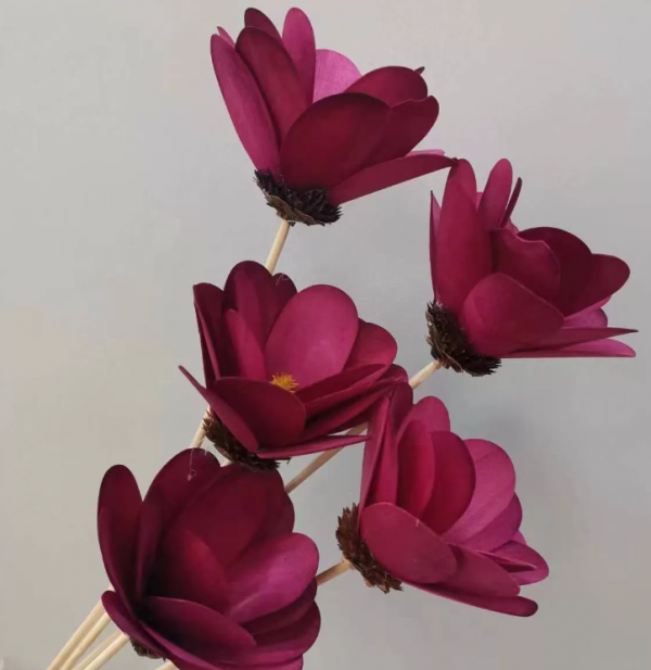 product image 4834b96fd9494df327a51287a096c6df