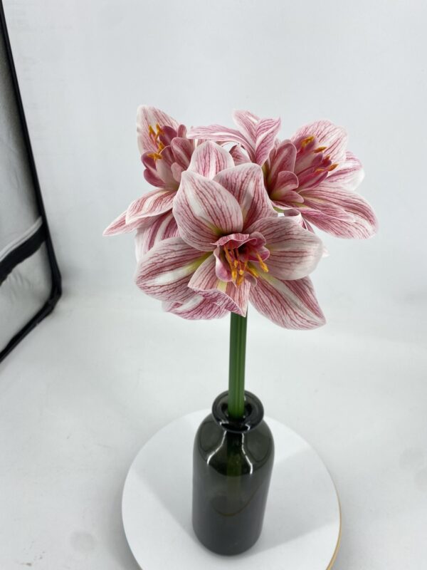 product image 4bb22aa1cf8b4dd329d83da1351d6724