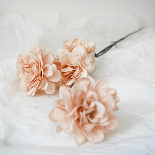 product image 50b363bf381b88ccf8f431f2dfe0d57a