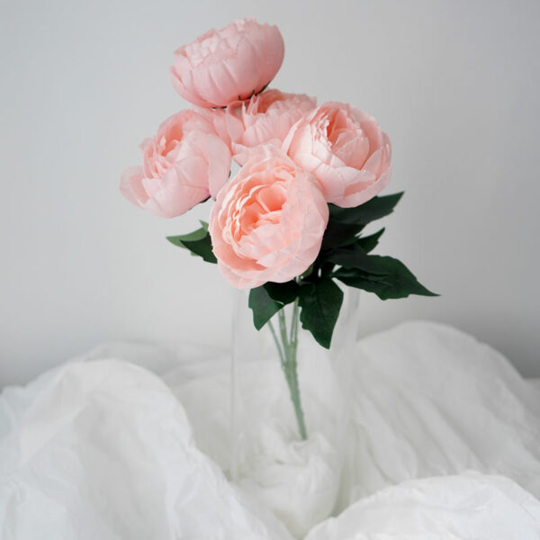 product image 52e64b4315b784e79cb1536f9d6b79cb
