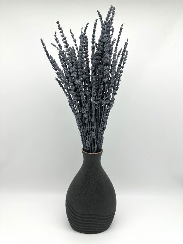 product image 55649647b9a718ae57f038df8e56be16 scaled