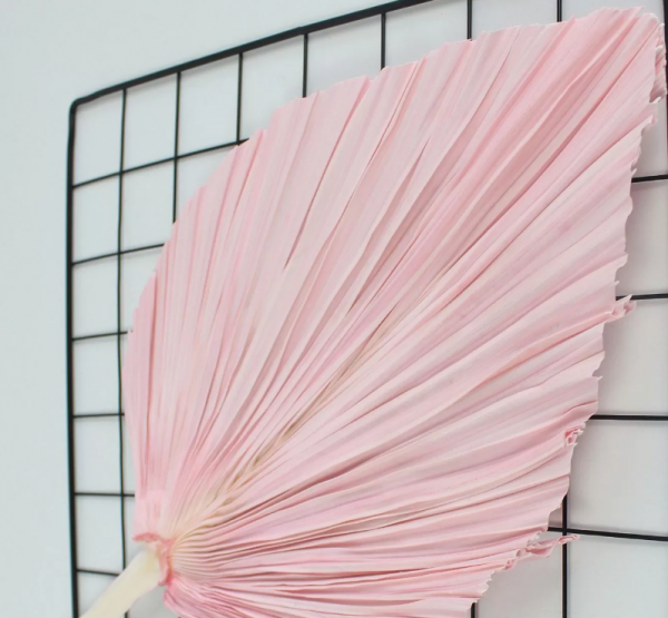 product image 55f303b316aa9998646abd7bdea165b0