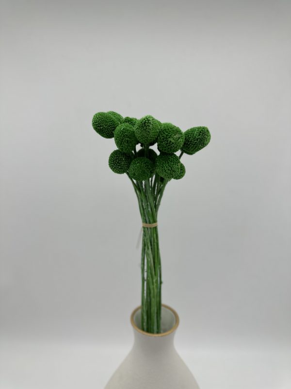 product image 55f4e066414f3ec5c349f3c8d2724445 scaled