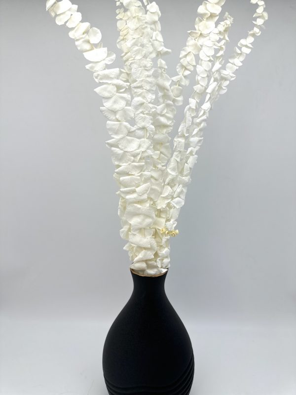 product image 5df0f687a313137c3f0e85d878d09472 scaled