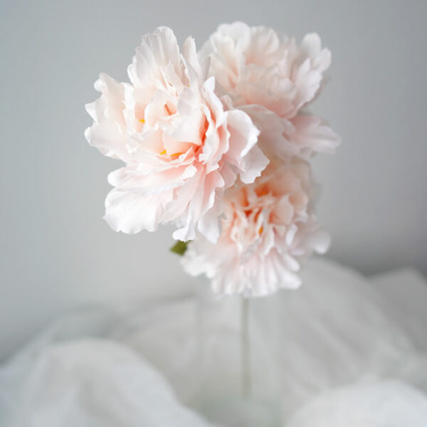 product image 60c86a7fd4115e52c68f1d7f7fd51535