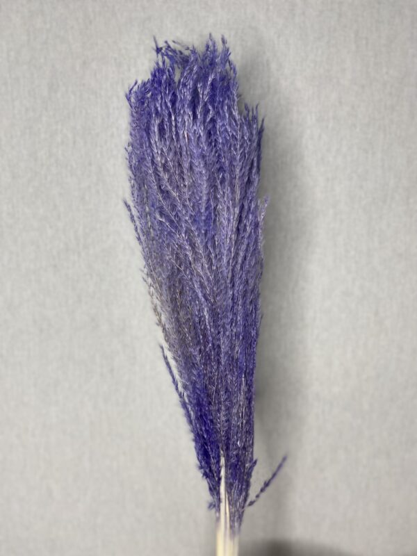 product image 619a7271ba681b595e39ac1d66222f8f scaled