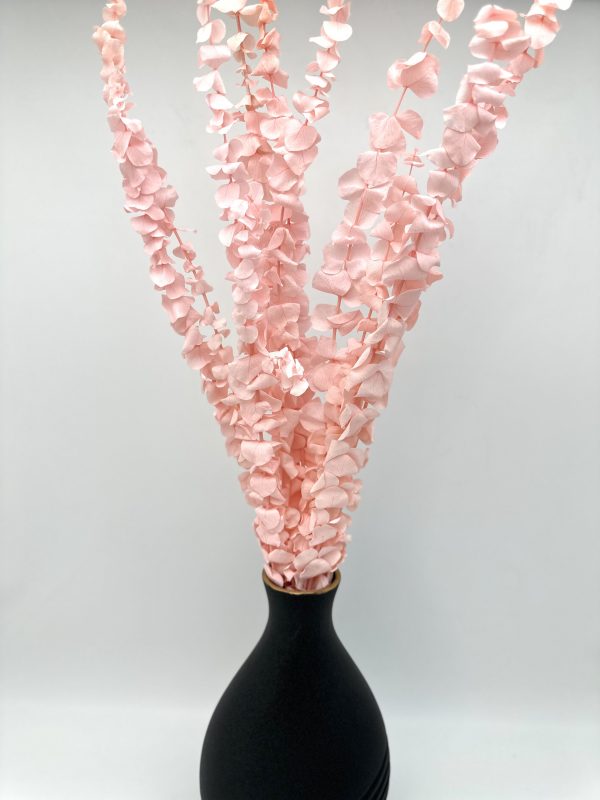 product image 638eba59fa13623c884aafcbe2b95282 scaled