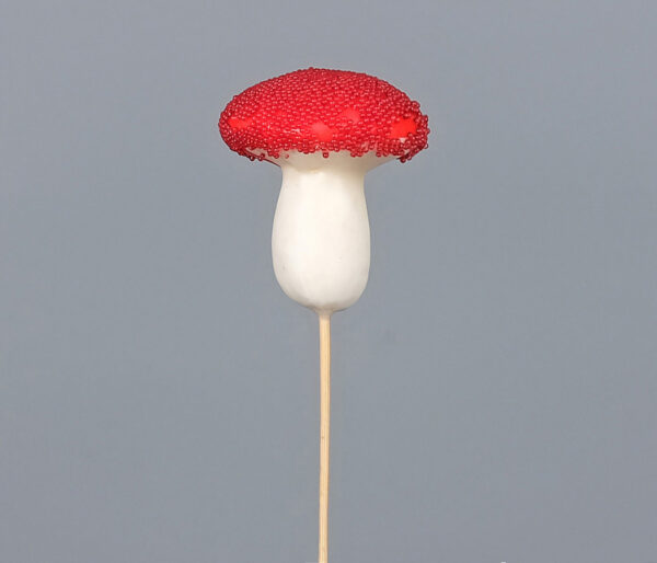 product image 644ccb6b6b323f240eff69a1d0bf4cfe