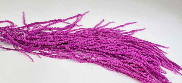 product image 665fbfb651a9058b9a331df82cd4a96b