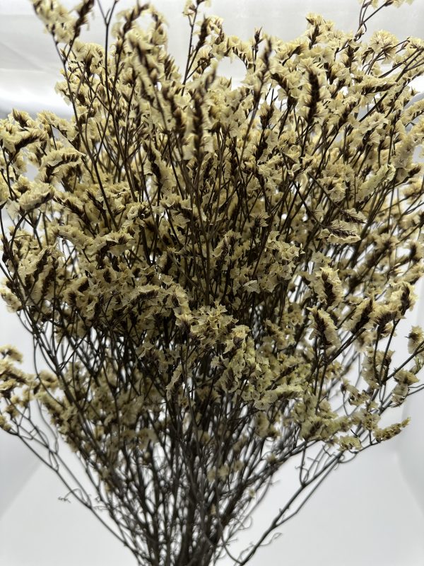 product image 67c1308facbc7f15c84418e7c435cb4e scaled