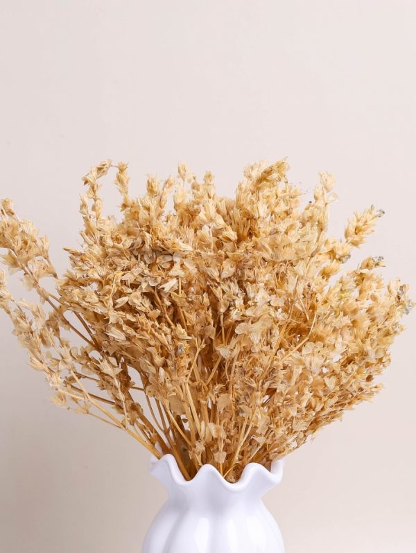 product image 69dd68543191e7450837d8f9d51c3657