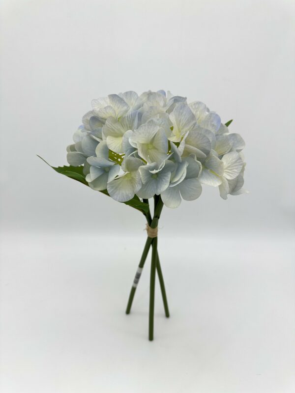 product image 6b1554d764e3d636c0a1f78897db88bf scaled