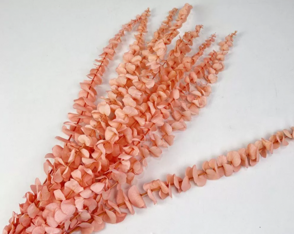 product image 6ce4061e521651a4bf3f95432601af96