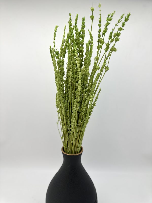 product image 6fc27373489a2b45cb9365c7746b4301 scaled