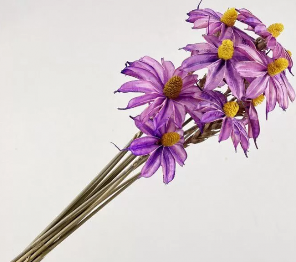 product image 7017a07c9608d16ad7b4aaebde2416ce