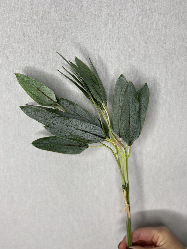 product image 70d1a2734d9f73b515ed2221821fa9ae scaled