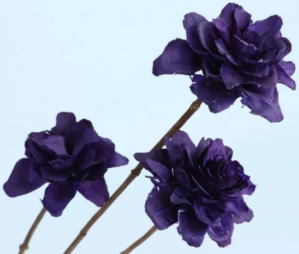 product image 75cea10b5120e758a08adbb10eaaeaaa