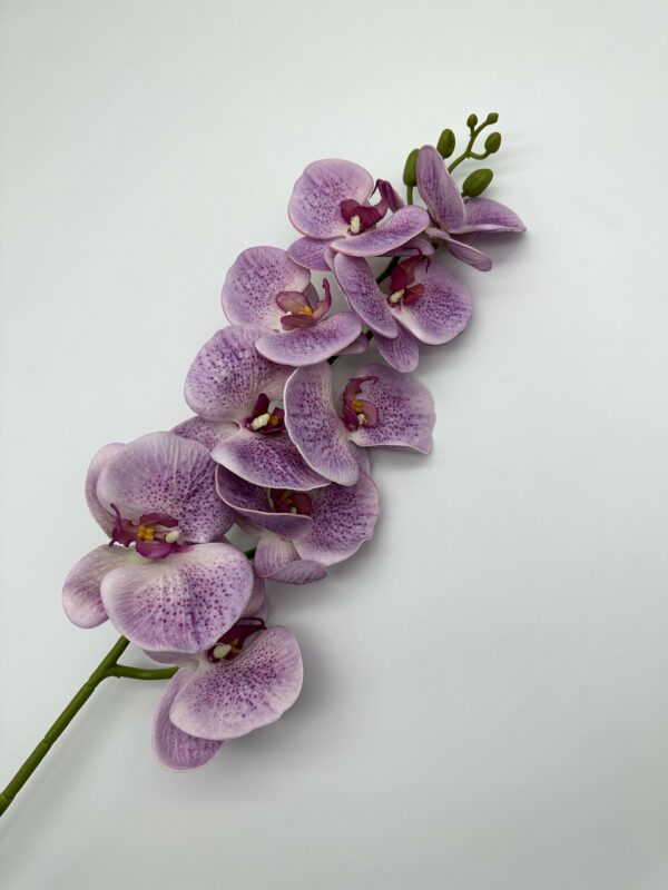 product image 7bd94f9a5d960d8e4d59d833f01c1992 scaled