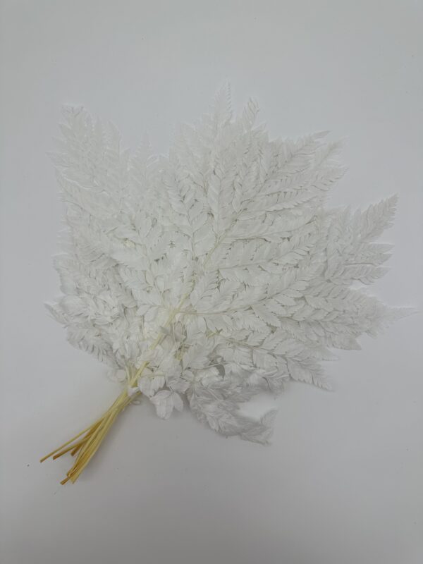 product image 819498da8d20e124539b29c3825c3ea8 scaled