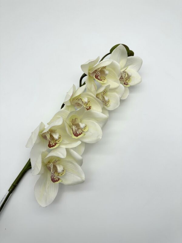 product image 87041f3086cfb76dfb3a7826f6ba91f9 scaled