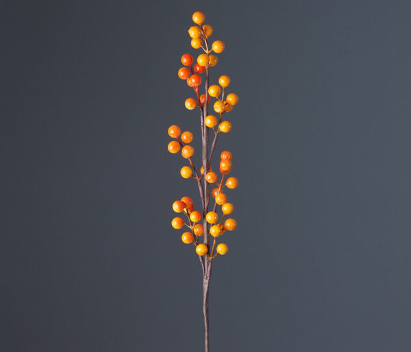 product image 8be682d164b90f666a490e627725075f