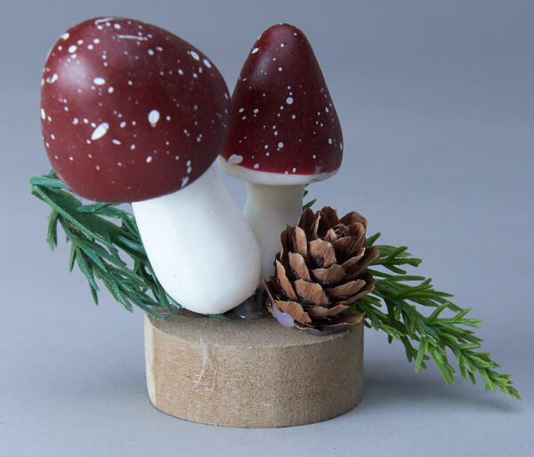 product image a0c3ee1e297cfba7259f1e41ea010749