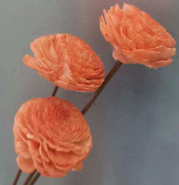 product image a0e2b9c39a636ae00d074fde5e398254