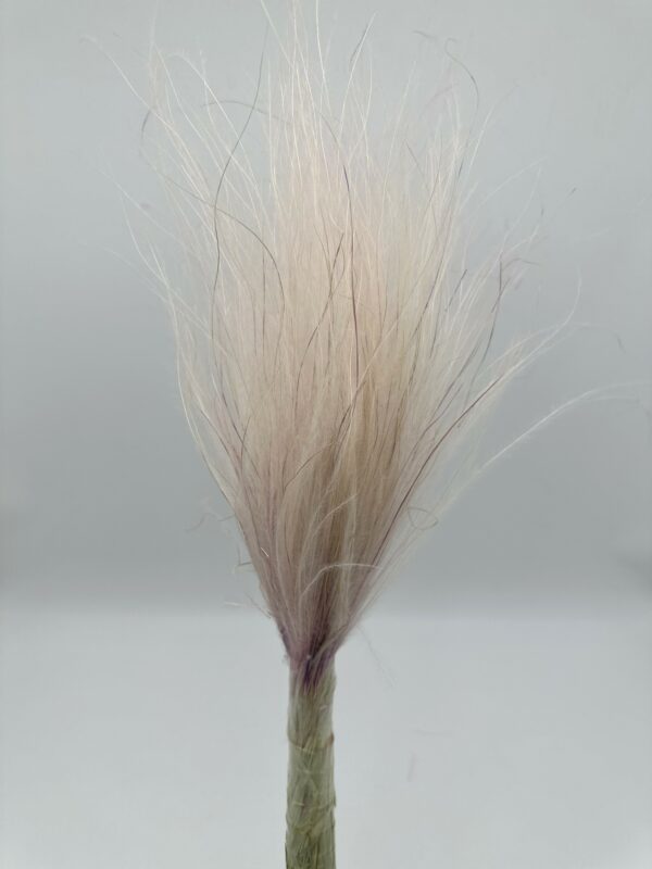 product image a3c92f70eebaae08e8989c8ad3c5f8fa scaled