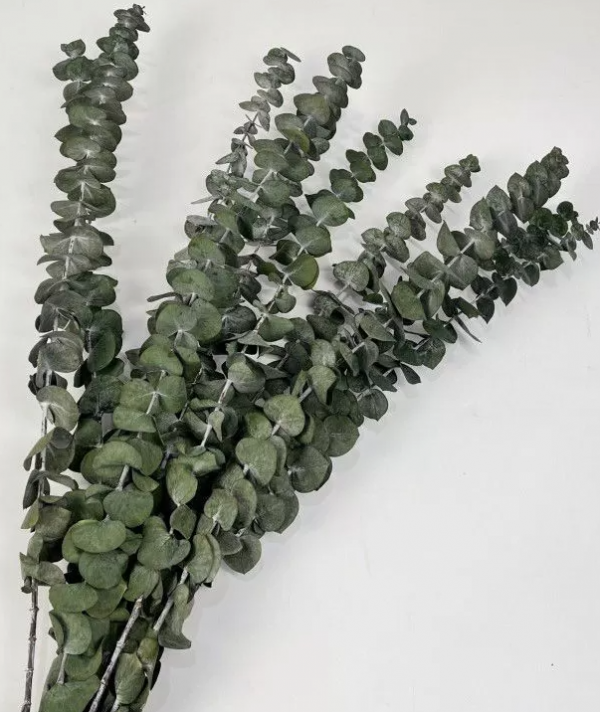 product image a4cf4001ed309a9cf92208231470c25a