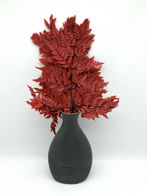 product image a4d64e5c2506a472e2ab8444ee881afa scaled