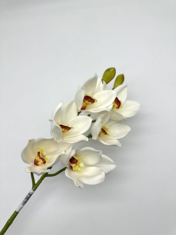 product image ad00fb5038d2e6f27c2b411994ff9940 scaled