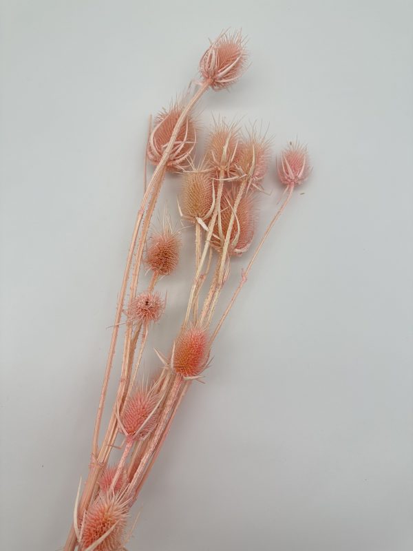 product image b48c90b23b6a7393a8d9750b50fb211a scaled