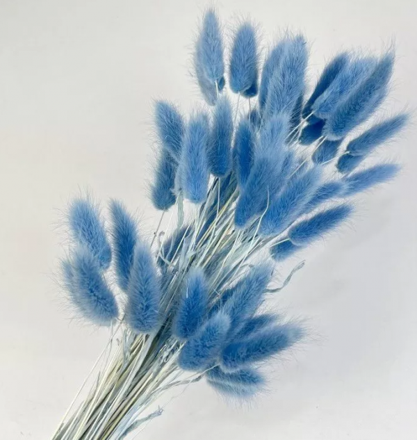 product image b71397ab208b76d254aa47f1edfeae9f