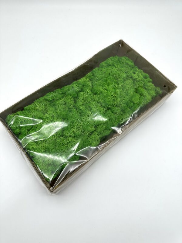 product image b79ae2e26369485b294defeea7b61439 scaled