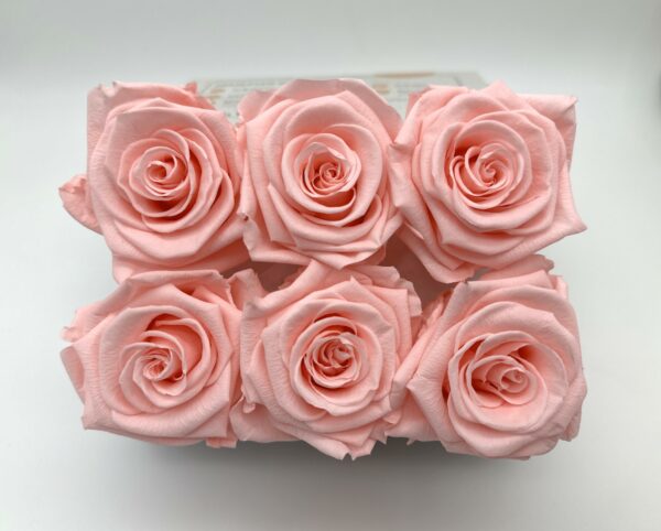 product image bc4e00a2ccbce5516f45f0cc4f745ca6 scaled