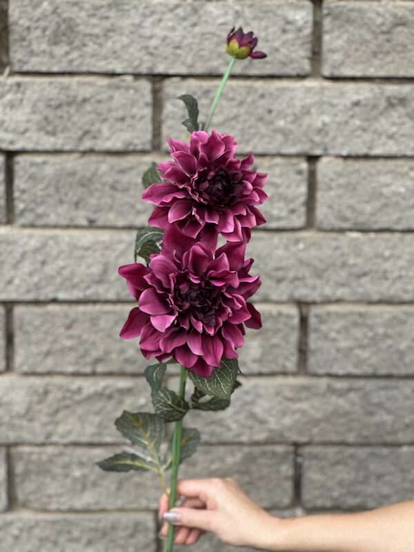 product image c08f8e55ff8288cf4c528a823f3024a3 scaled