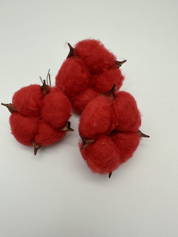 product image c1092970377aae1464029042f2d173a2 scaled