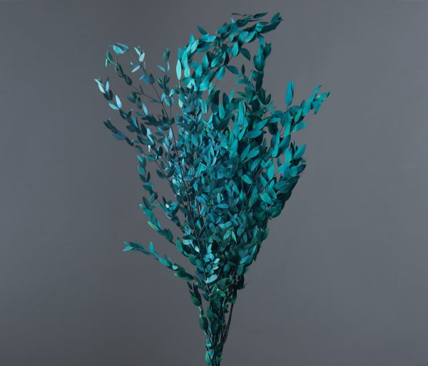 product image c159a82143d648cbb83f26e17281b0b8